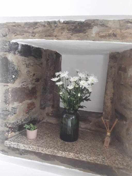A Toca Do Cuco Na Vila Da Sertã 外观 照片